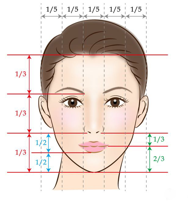 顔の黄金比　綺麗な顔の見本