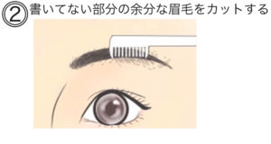 アーチ眉毛の整え方　アーチ型眉毛の書き方を説明する図